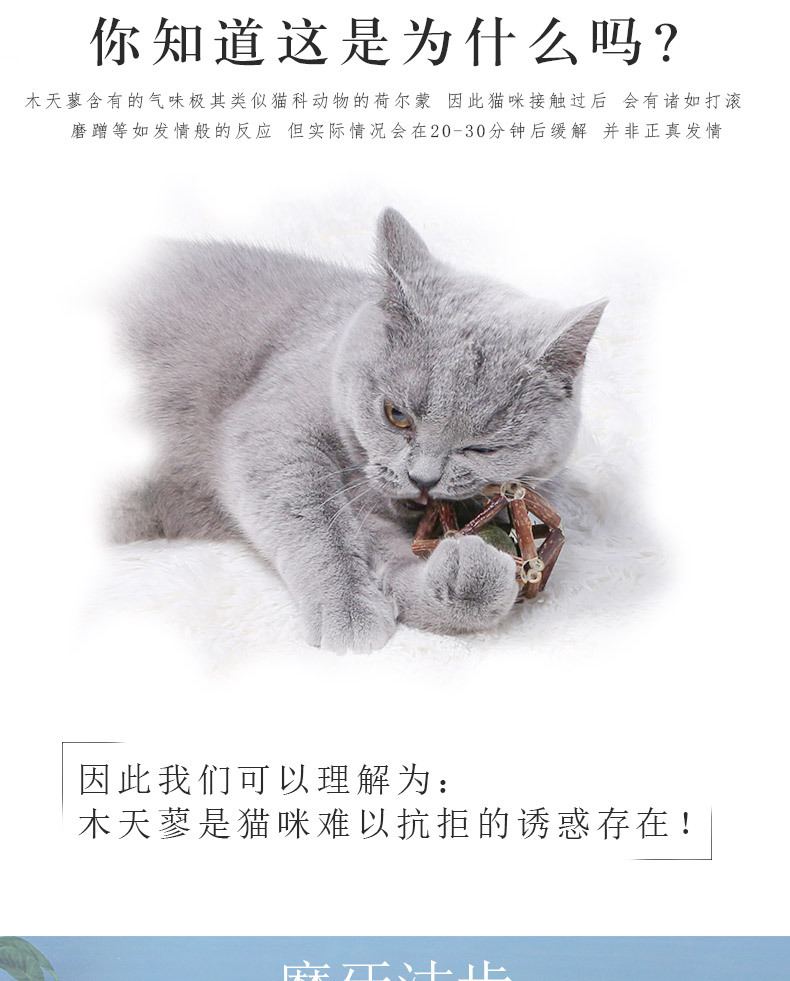 猫薄荷木天蓼球_03.jpg