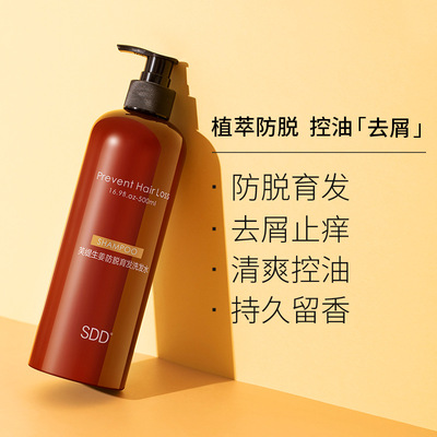 SDD生姜强根滋养洗发水控油去屑生姜洗发乳强根固发育发洗发露